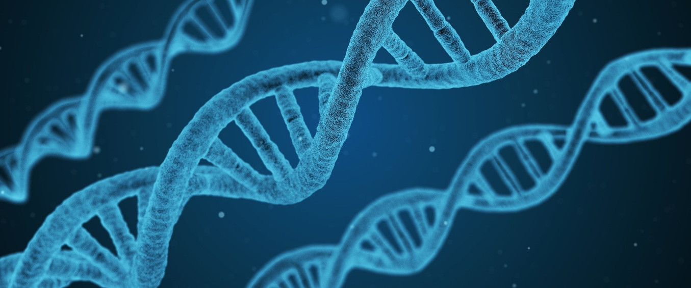 Kłopoty z DNA Piastów. Czy odkryjemy zagadkę naszego pochodzenia?